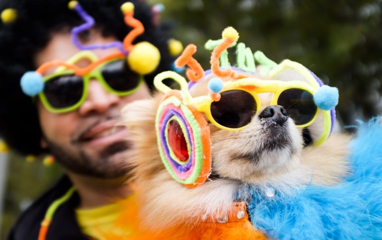 Pet Parades: Celebrating Festive Occasions with Your Pets