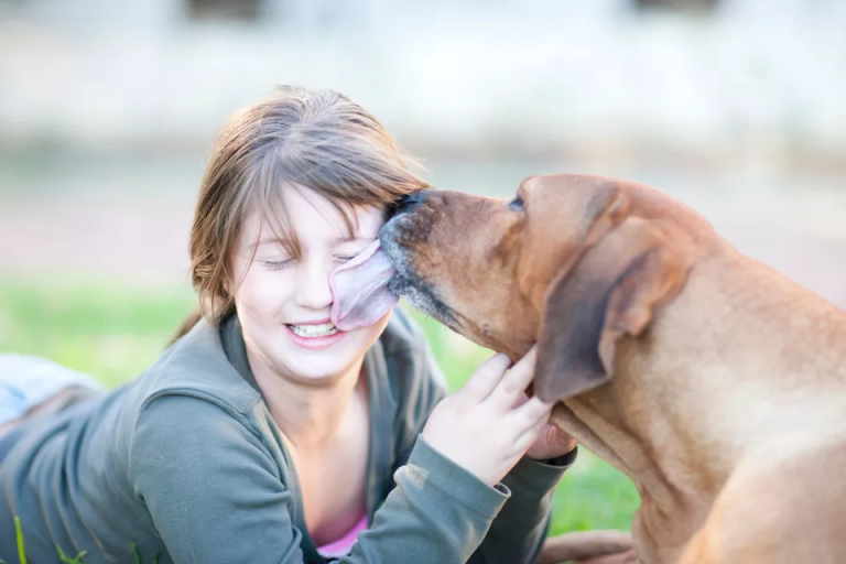 The Science of Pet Behavior: Understanding Your Furry Friend