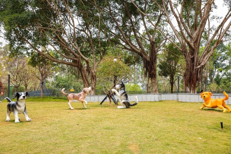 Playtime in the Park: Building Bonds through Off-Leash Pet Areas