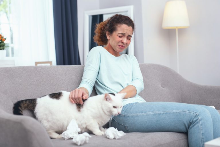 Understanding Allergies in Pets and How to Manage Them