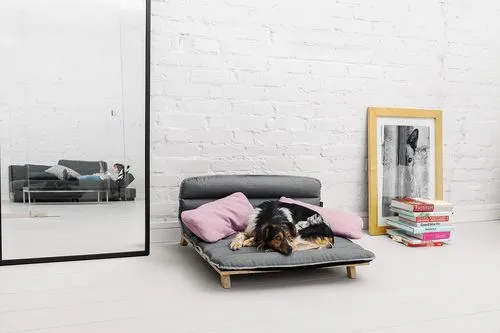 Luxurious Pet Beds: Where Style Meets Comfort